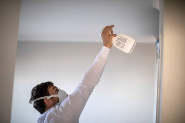 Best Attic Mold Removal  in Perezville, TX