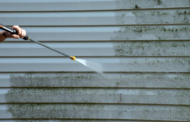Best Commercial Mold Removal  in Perezville, TX