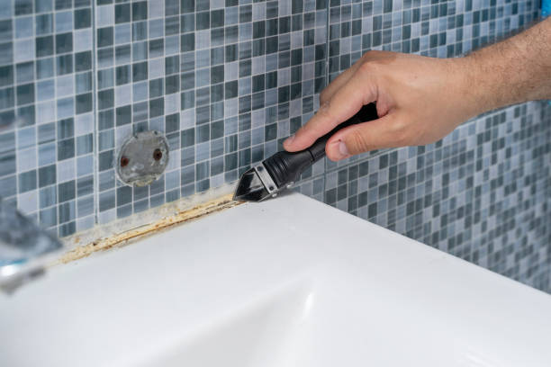 Best Mold Remediation  in Perezville, TX
