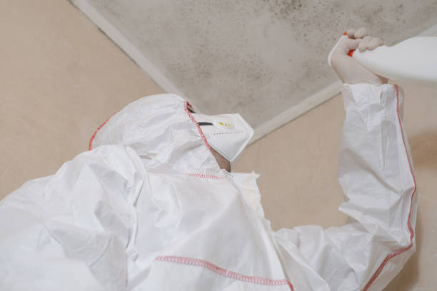 Best Professional Mold Removal  in Perezville, TX